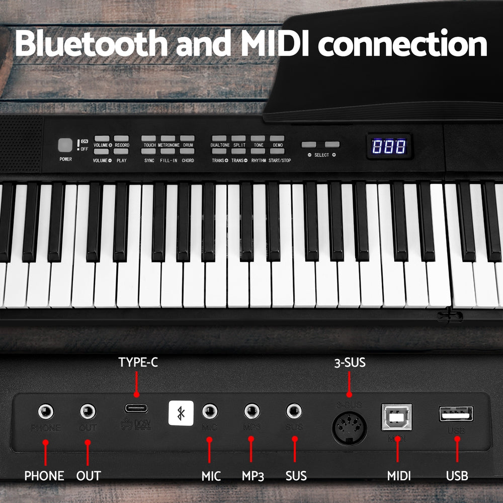 Bluetooth and MIDI connection, phone, out, type-c, mic, mp3, sus, 3-sus, midi, usb.