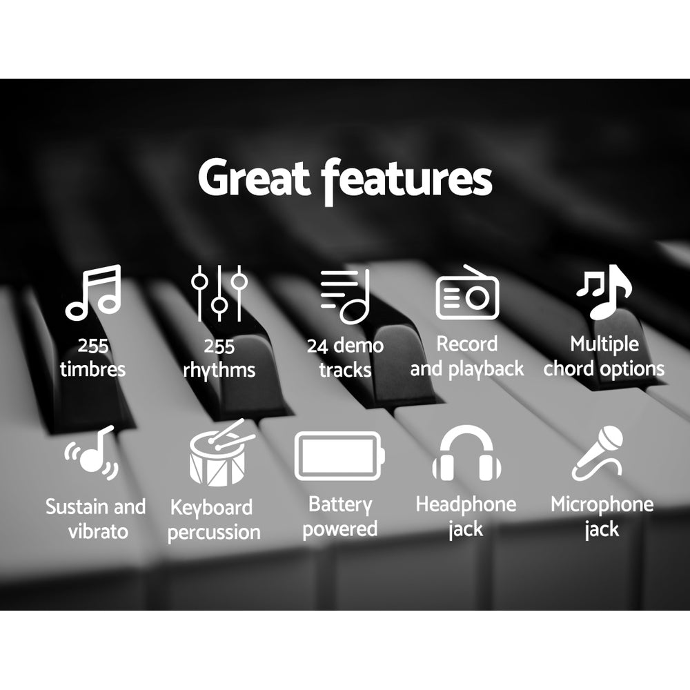 Features:  255 timbres, 255 rhythms, 24 demo tracks, record & playback, multiple chord options, sustain and vibrato, keyboard percussion, battery powered, headphone jack, microphone jack.